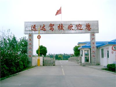 学车场地